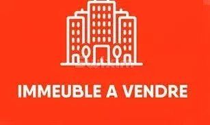 Vente Immeuble Gundershoffen 17 Pièces 515 m²