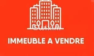 Verkauf Mietshaus Gundershoffen 17&nbsp;Zimmer 515&nbsp;m²