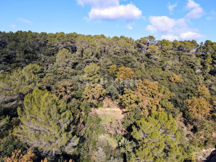 Vente Terrain Serviers-et-Labaume 7000 m²
