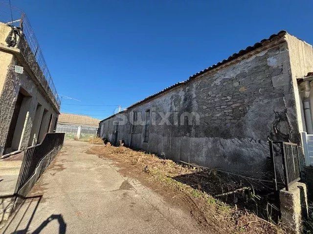 Vente Commerce Nîmes 313 m²