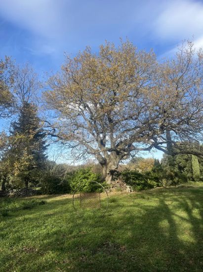 Venta Mas Grignan 7 Salas 200 m²