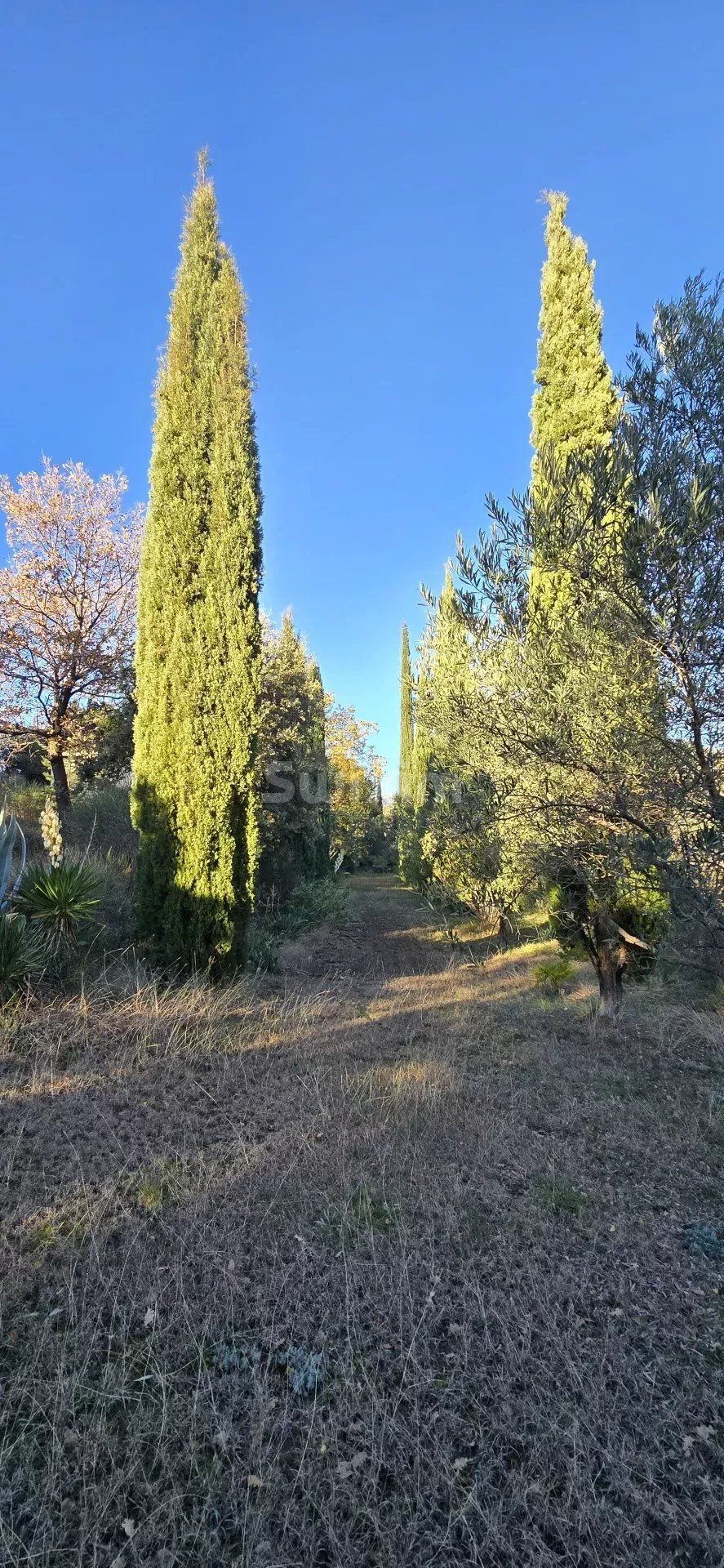 maison 8 Pièces en vente sur Nyons (26110)