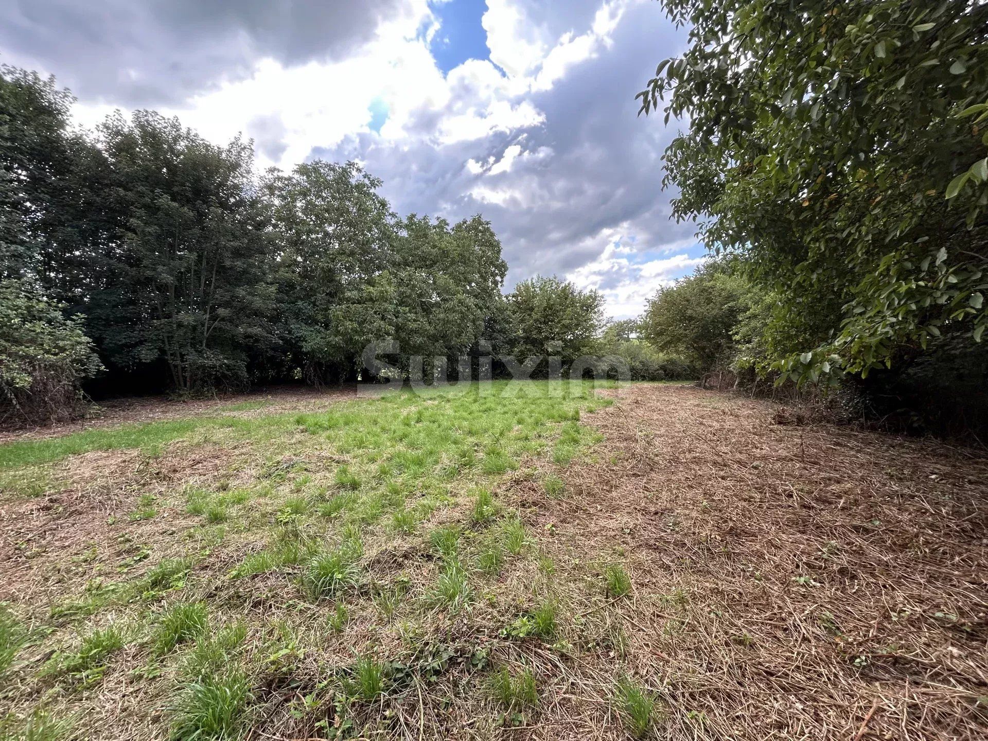 terreno en venta en Quarré-les-Tombes (89630)