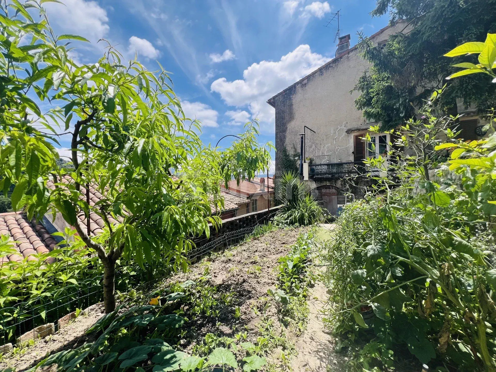 maison 10 Pièces en vente sur Contes (06390)