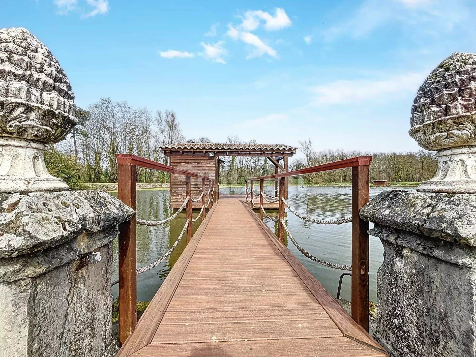 propriedade 12 Quartos para venda sobre Châtillon-sur-Chalaronne (01400)