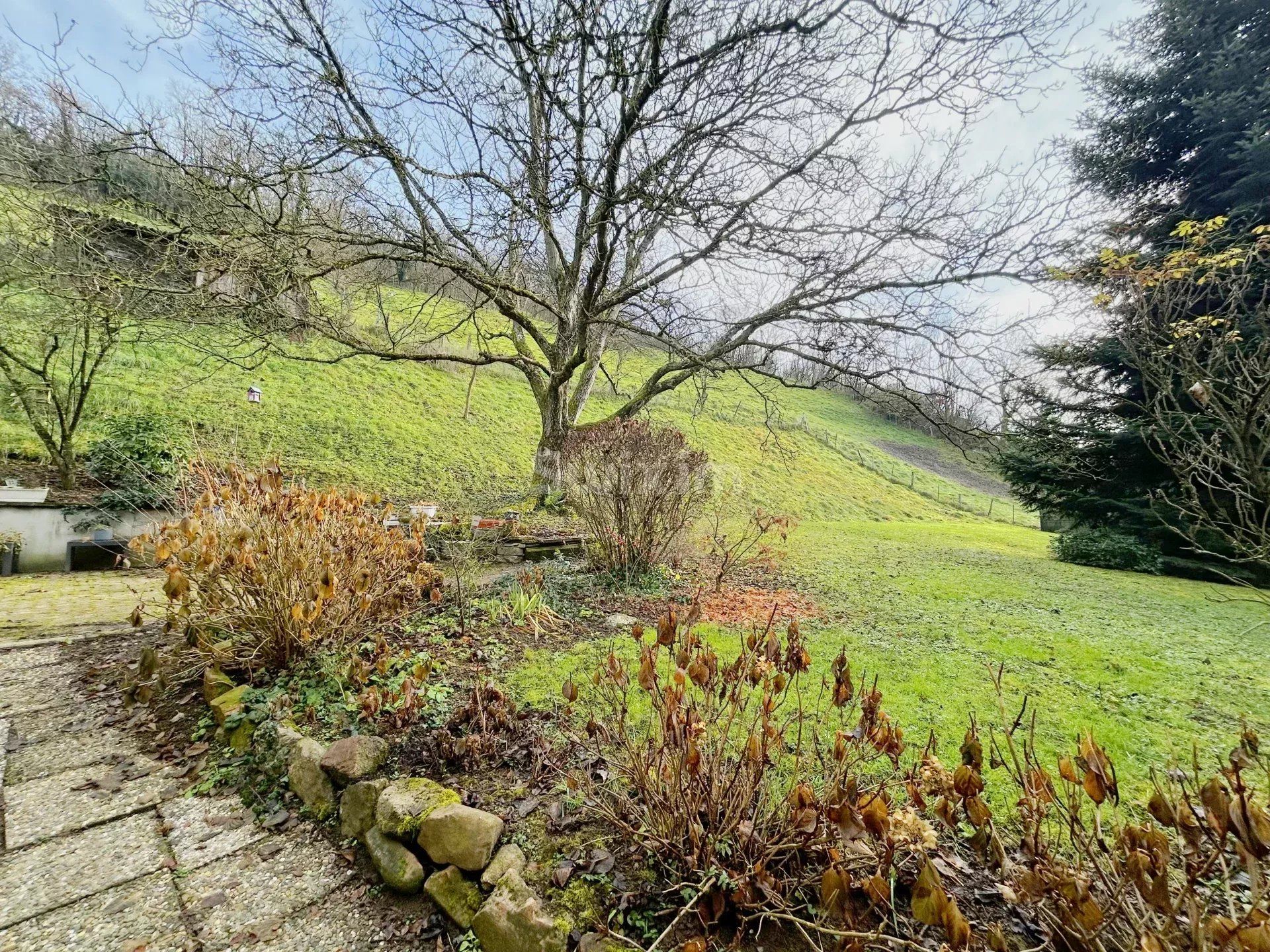 house for sale on Lièpvre (68660)