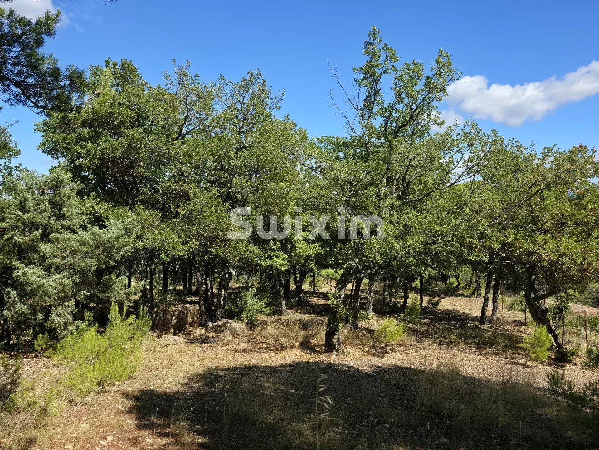 maison 7 Pièces en vente sur Visan (84820)