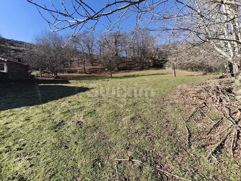 terrain en vente sur Villefort (48800)