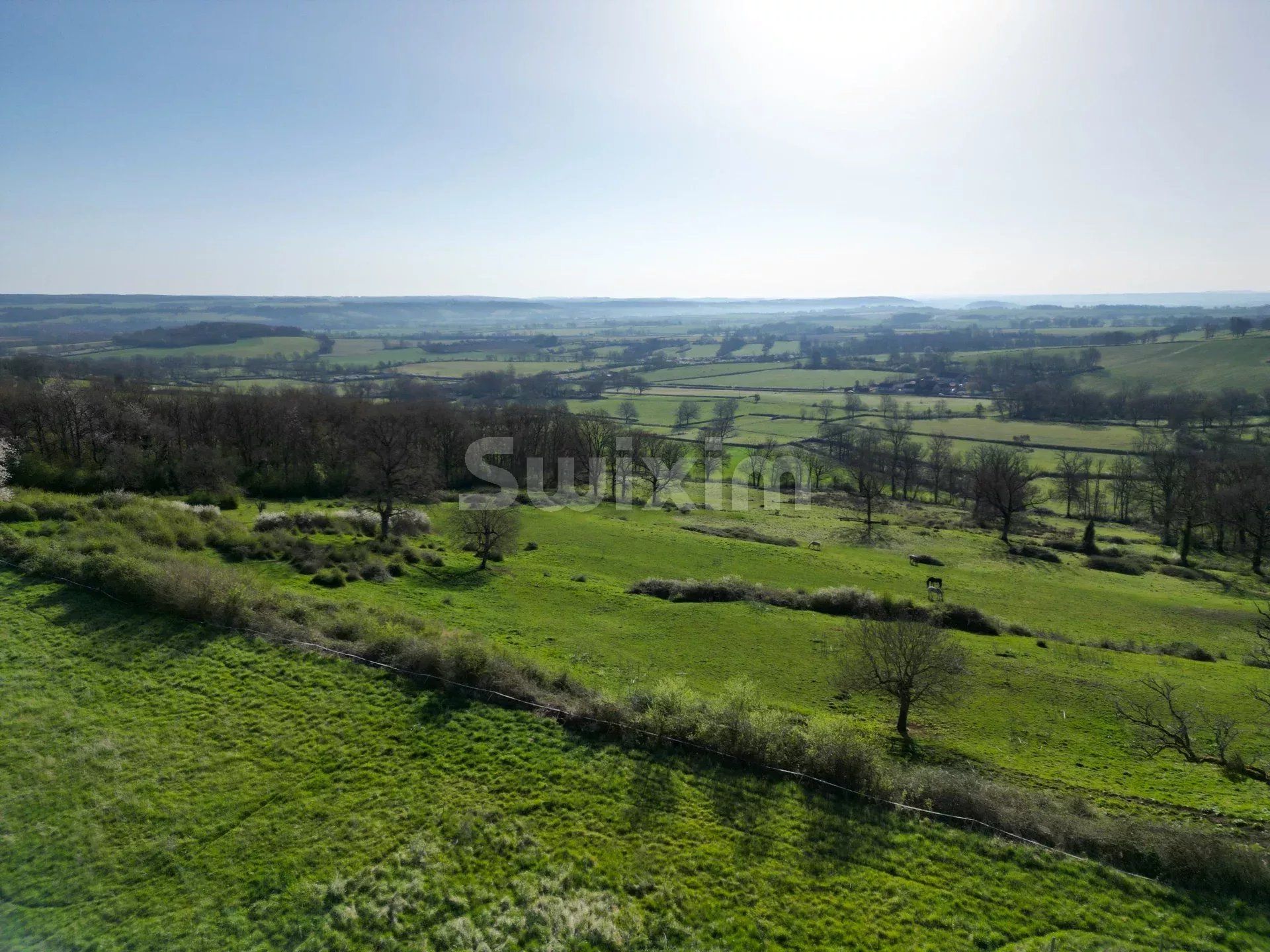 castello 8 Camere in vendita su Avallon (89200)