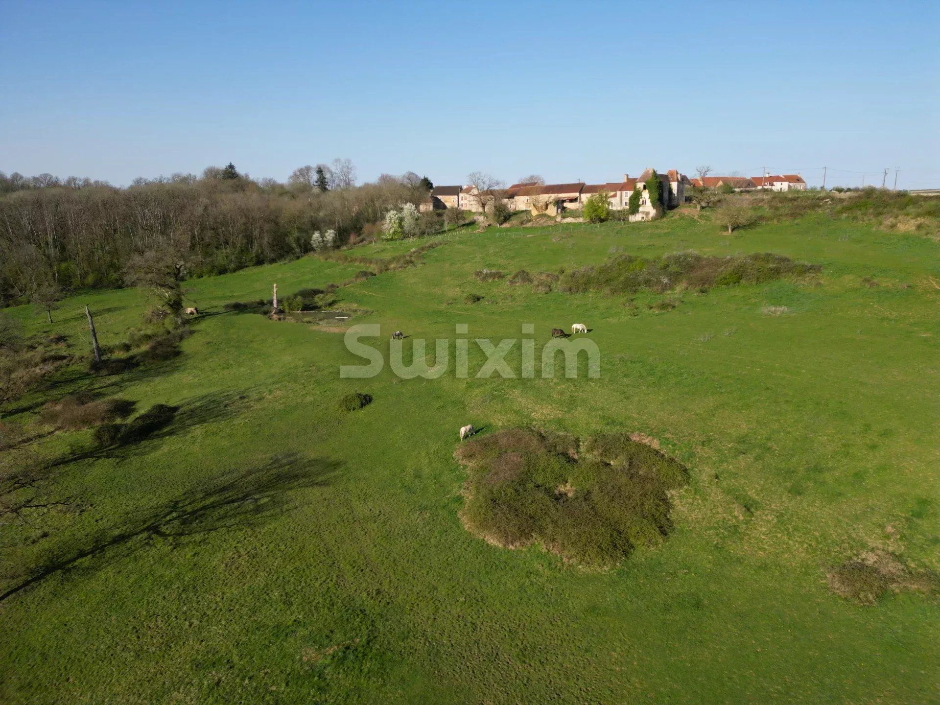 castello 8 Camere in vendita su Avallon (89200)