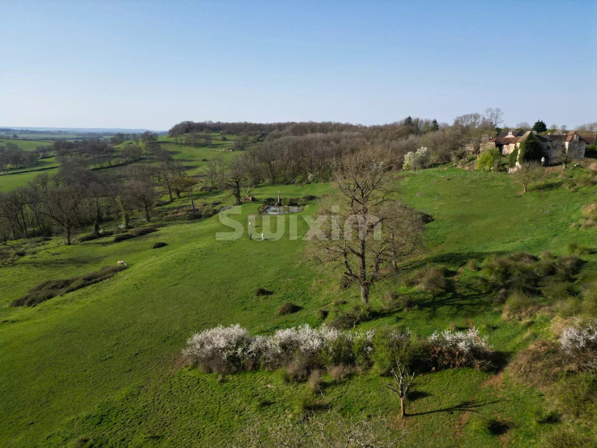 castello 8 Camere in vendita su Avallon (89200)