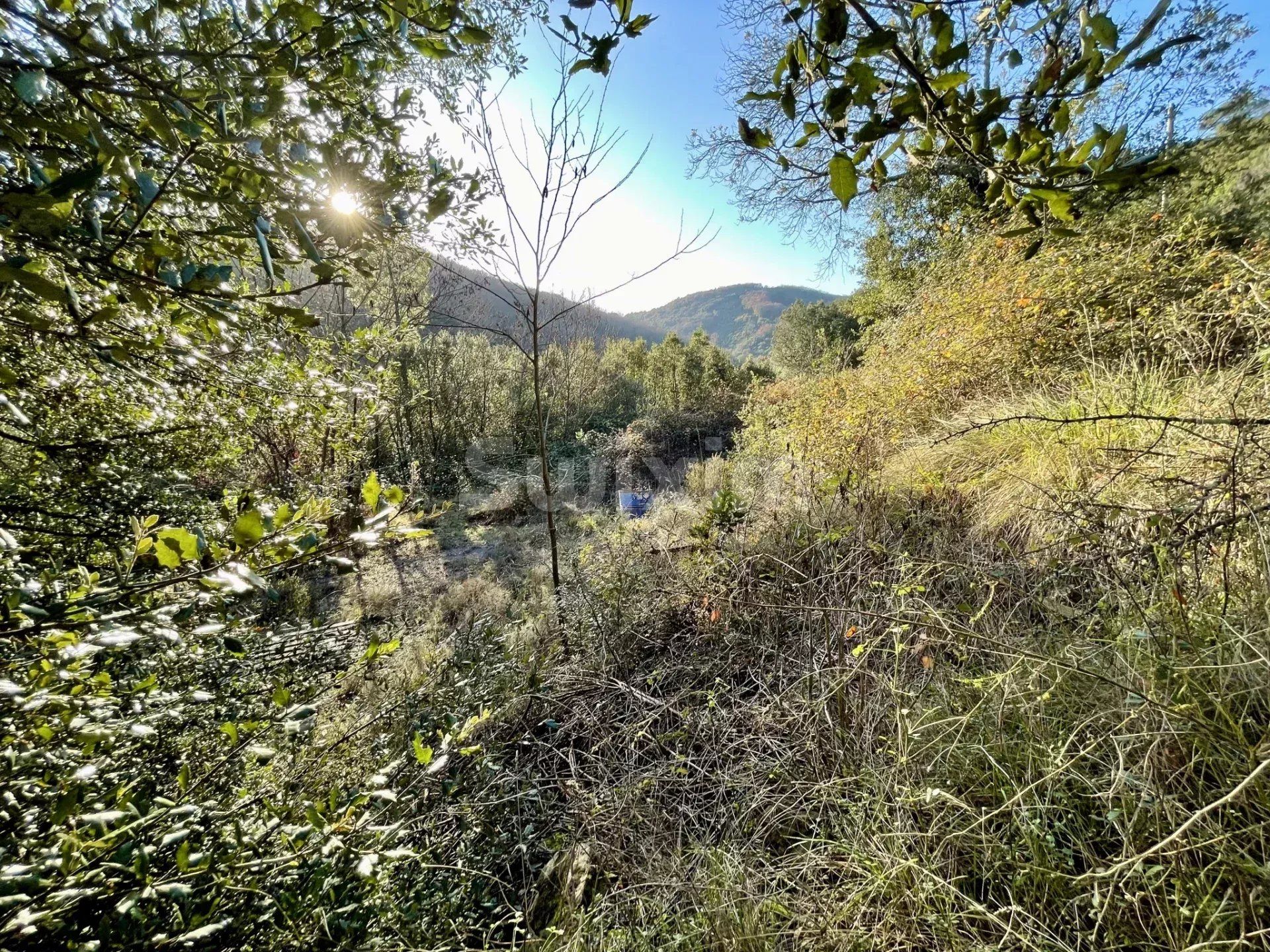 land for sale on Saint-Jean-du-Pin (30140)