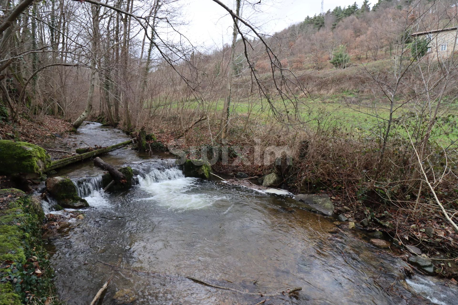 propriété 40 Pièces en vente sur Lamastre (07270)