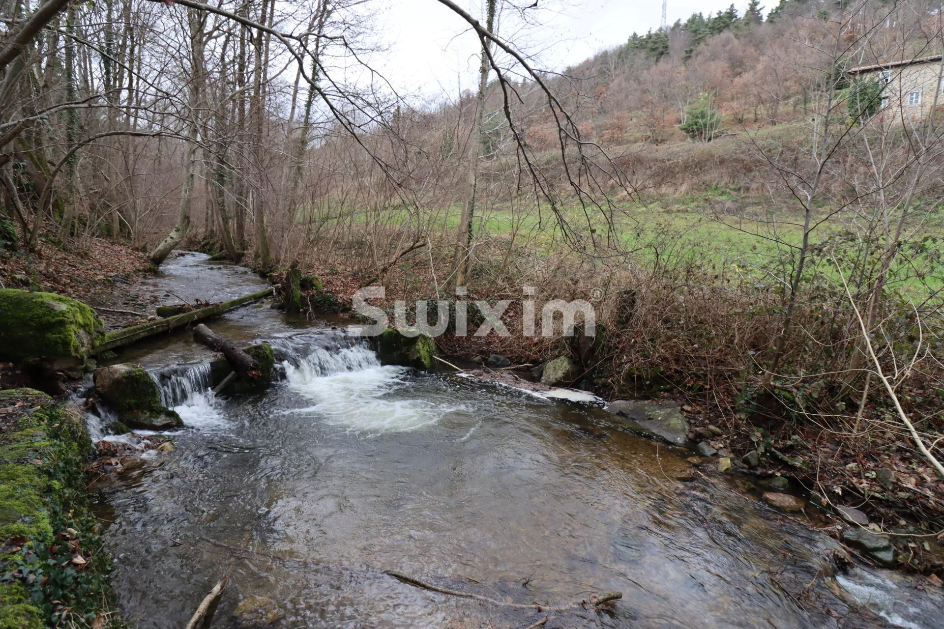 propriedade 40 Quartos para venda sobre Lamastre (07270)