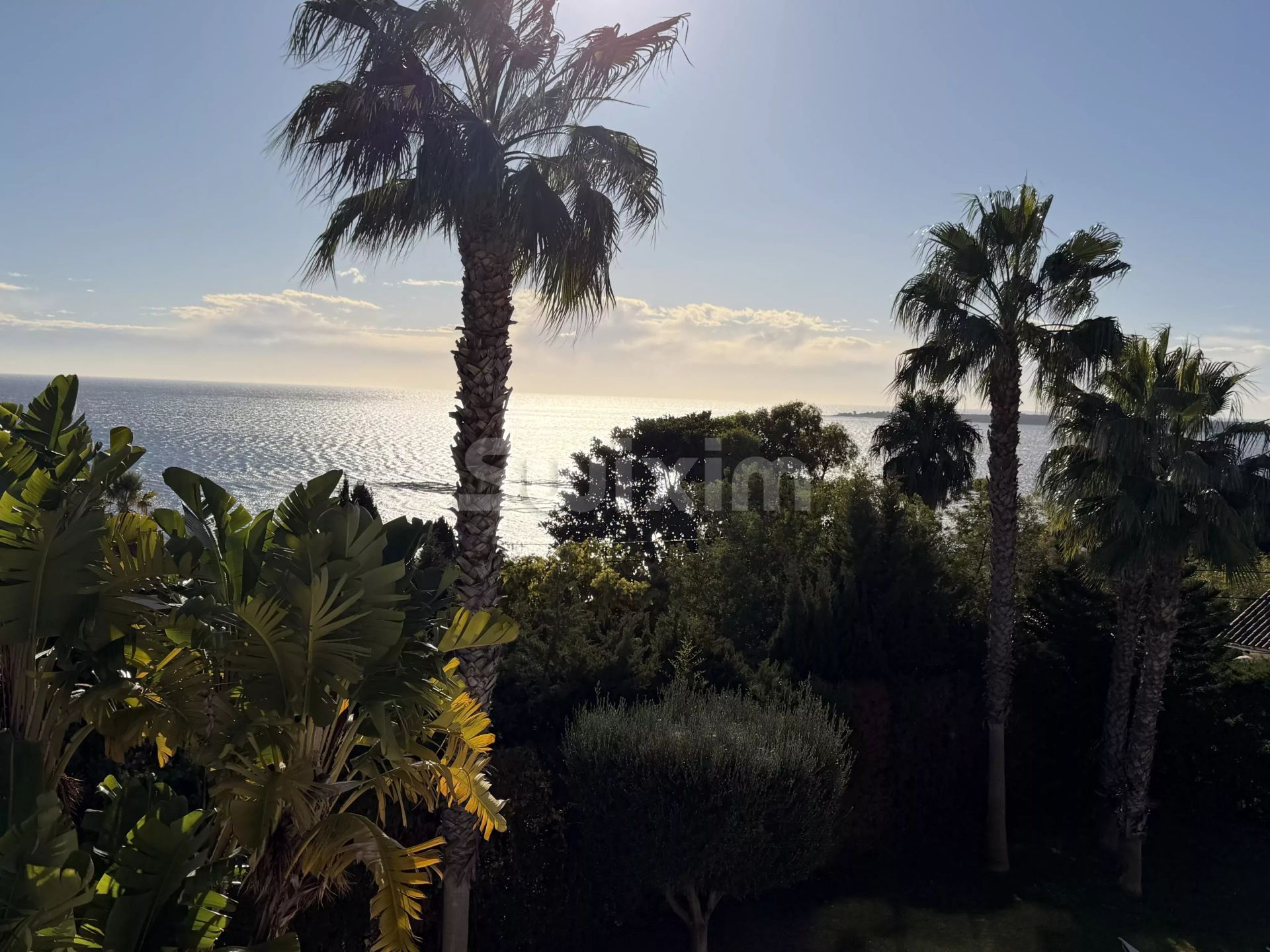 villa 10 Pièces en vente sur Cannes (06400)