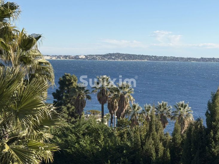 Vente Villa Cannes 10&nbsp;Pièces 500&nbsp;m²