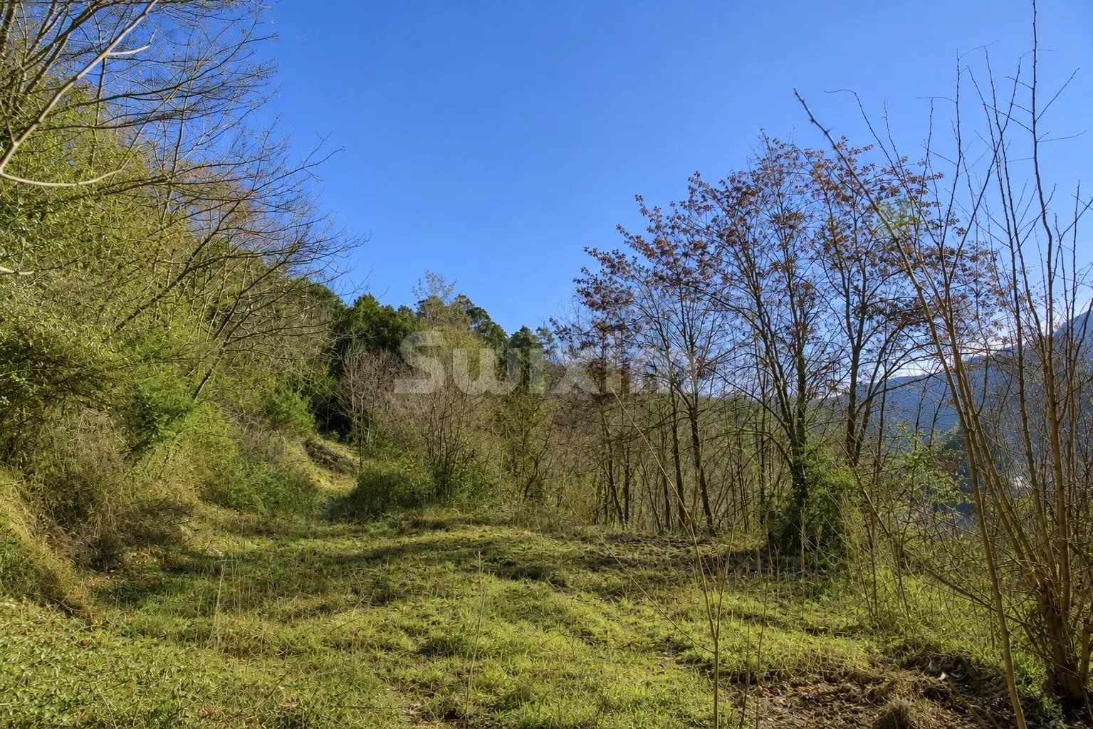 terreno in vendita su Le Collet-de-Dèze (48160)