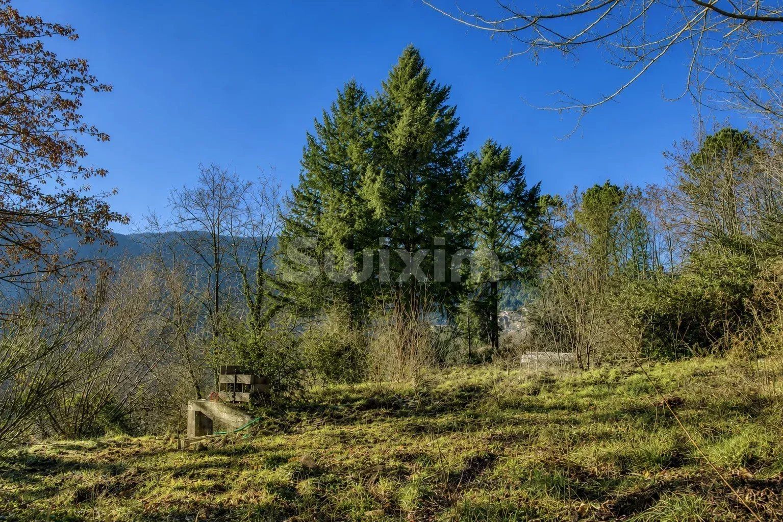 terreno in vendita su Le Collet-de-Dèze (48160)
