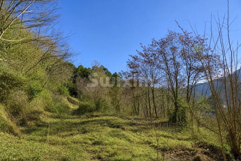 Vendita Terreno Le Collet-de-Dèze 5000&nbsp;m²