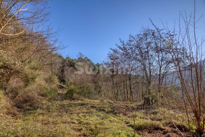 Sale Land Le Collet-de-Dèze 5000&nbsp;m²