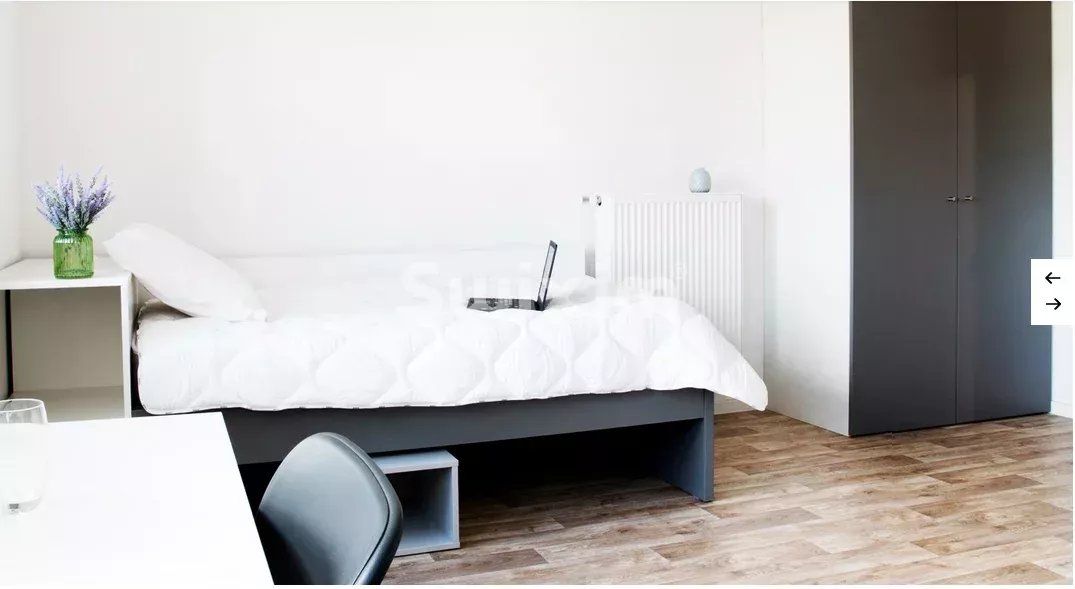 apartamento 1 sala en venta en Strasbourg (67000)