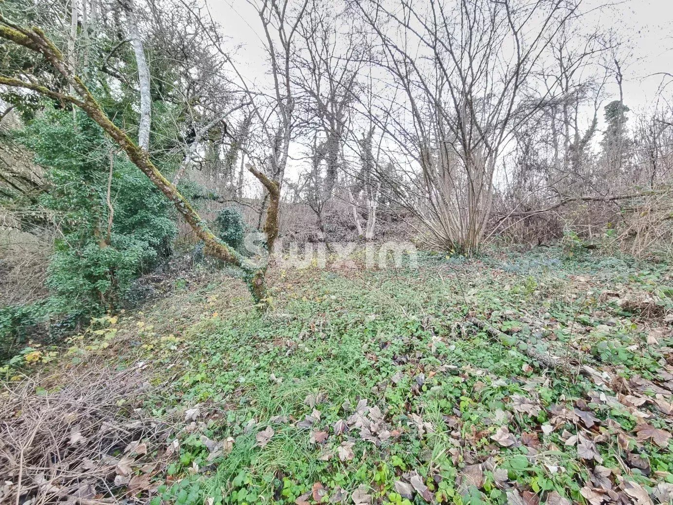 casa 7 Camere in vendita su Domecy-sur-le-Vault (89200)