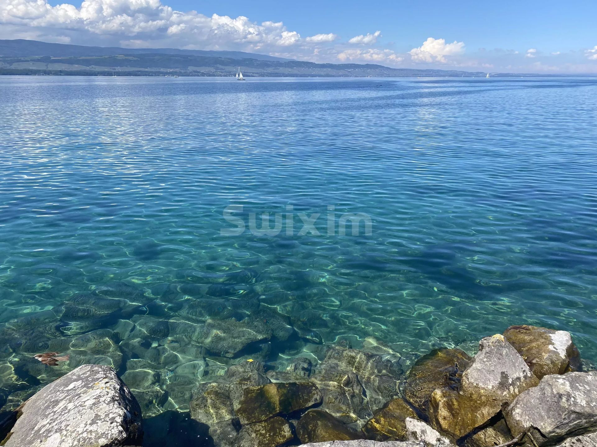 house 12 Rooms for sale on Anières (1247)