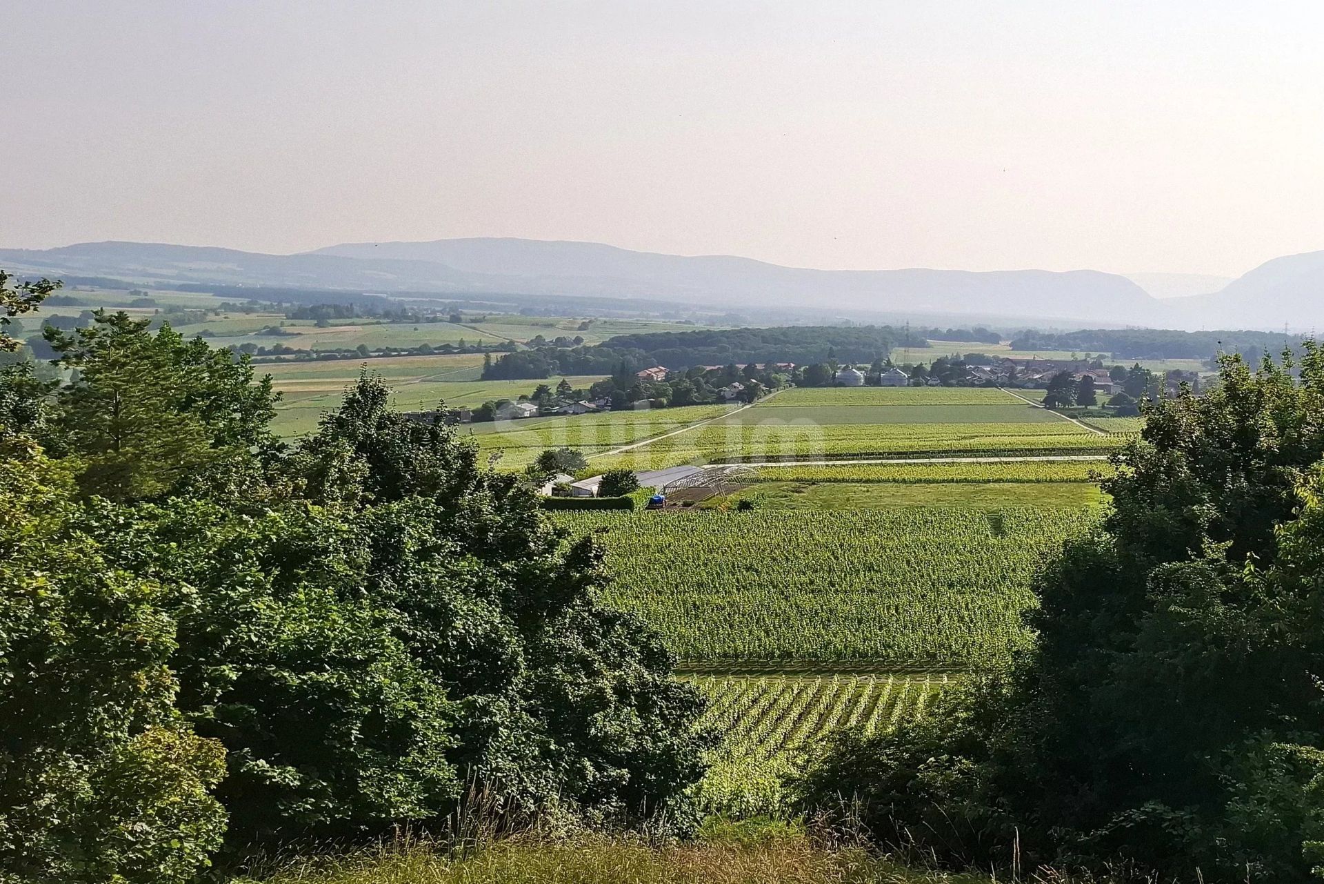 casa 14 Camere in vendita su Genève (1200)