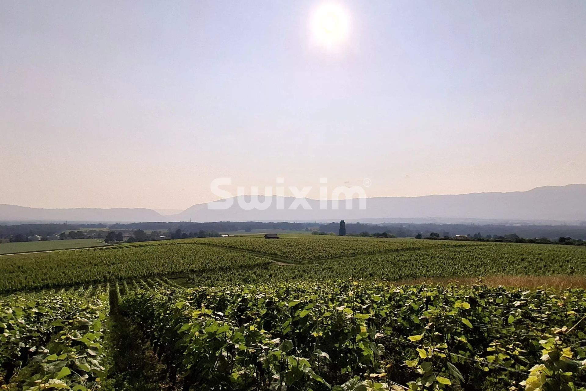 casa 14 Camere in vendita su Genève (1200)