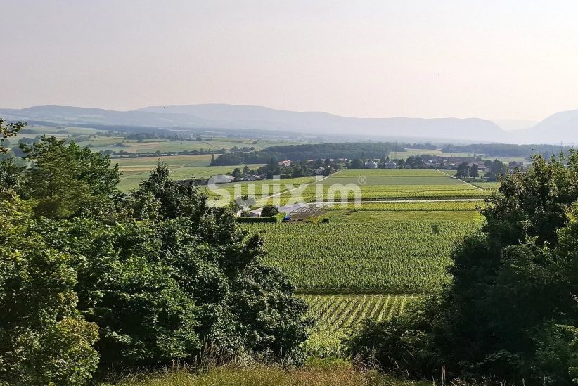 Venta Casa Genève 14&nbsp;Salas 437&nbsp;m²