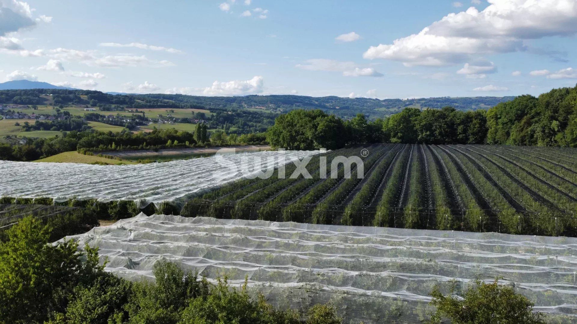 appartement 5 Pièces en vente sur Copponex (74350)