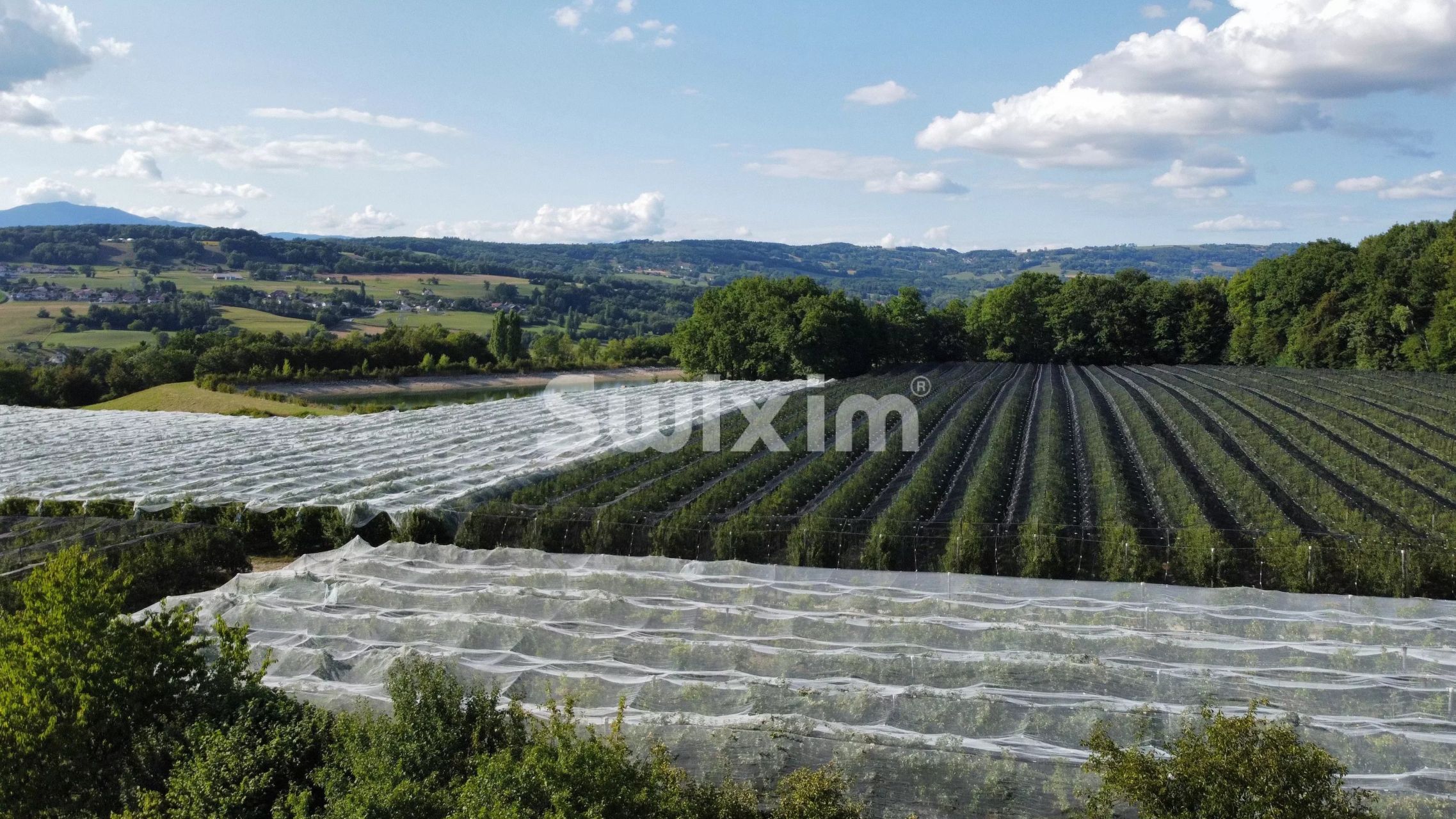 casa 5 Camere in vendita su Cercier (74350)