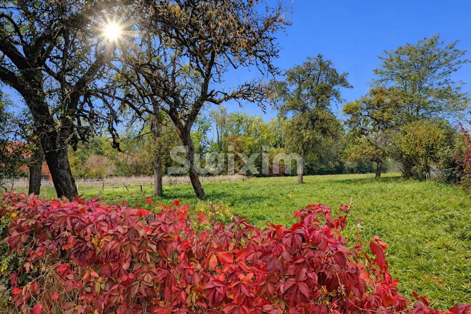 casa 4 Camere in vendita su Contamine-sur-Arve (74130)