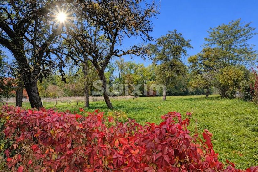 Vendita Casa Contamine-sur-Arve 4&nbsp;Camere 107&nbsp;m²