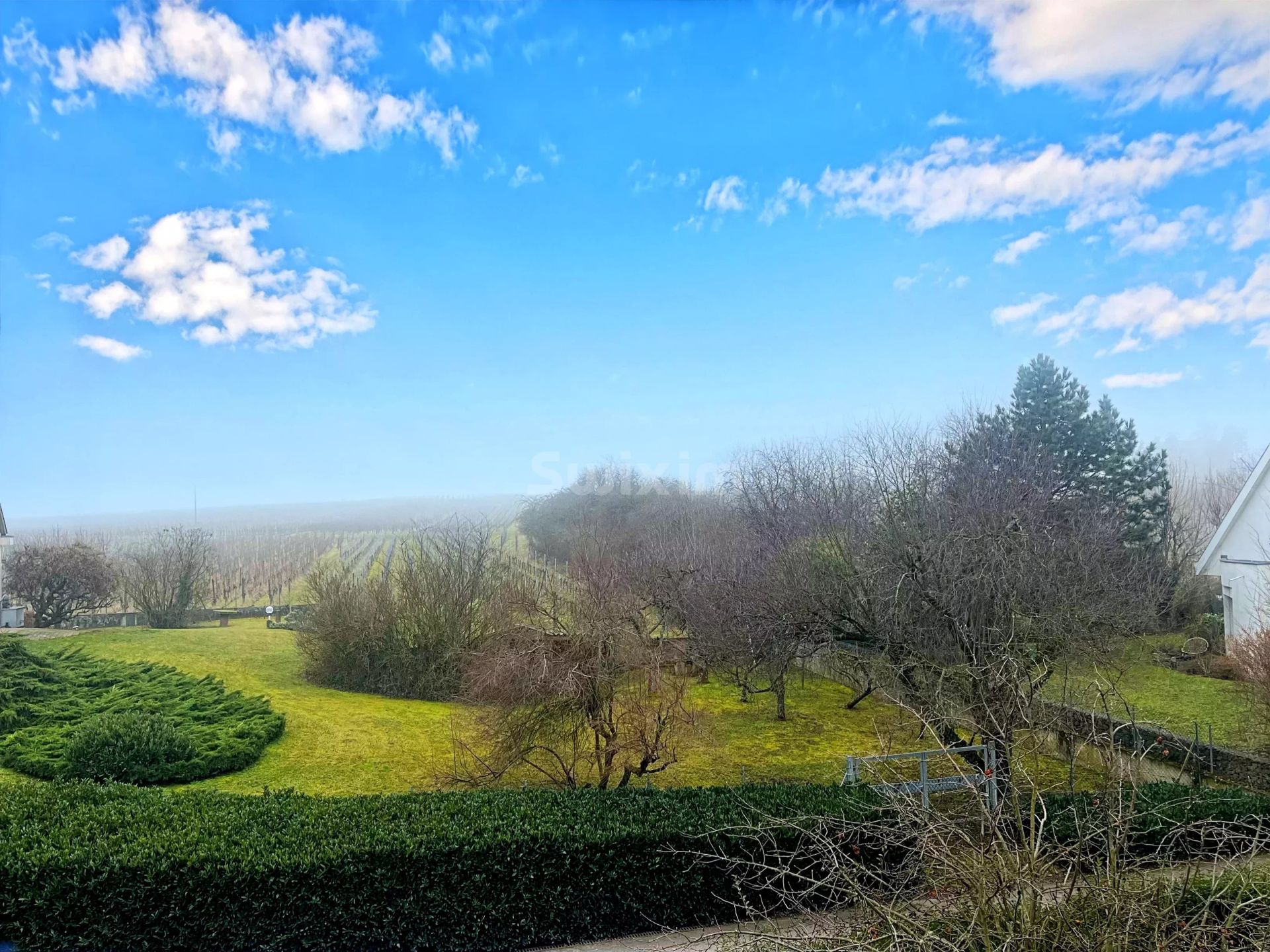 maison 6 Pièces en vente sur Ribeauvillé (68150)