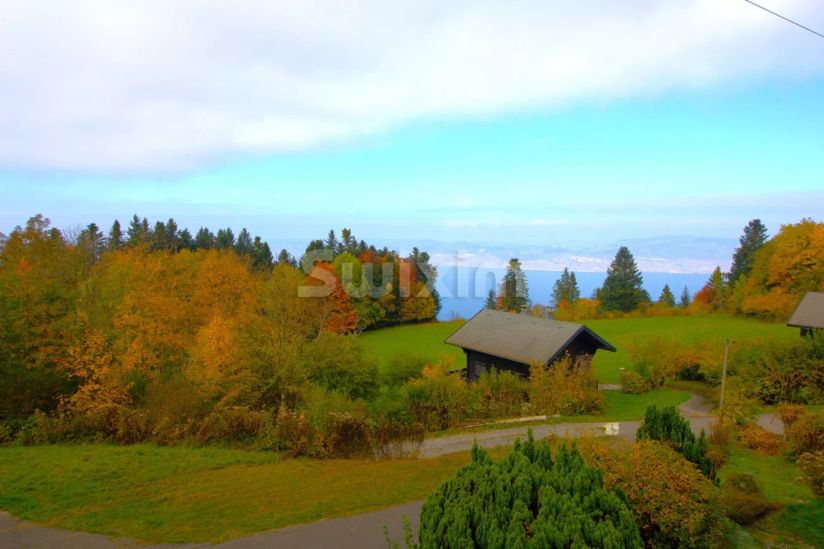 Sale Chalet Thollon-les-Mémises 4&nbsp;Rooms 76&nbsp;m²