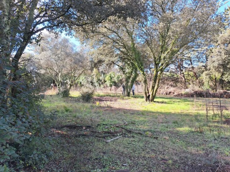 Sale Land Sommières 1162&nbsp;m²