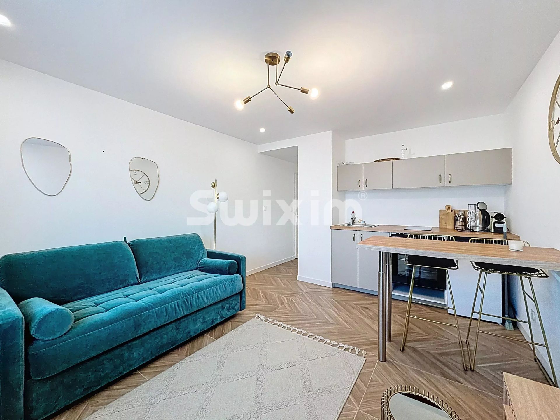 appartement 1 pièce en vente sur Ferney-Voltaire (01210)