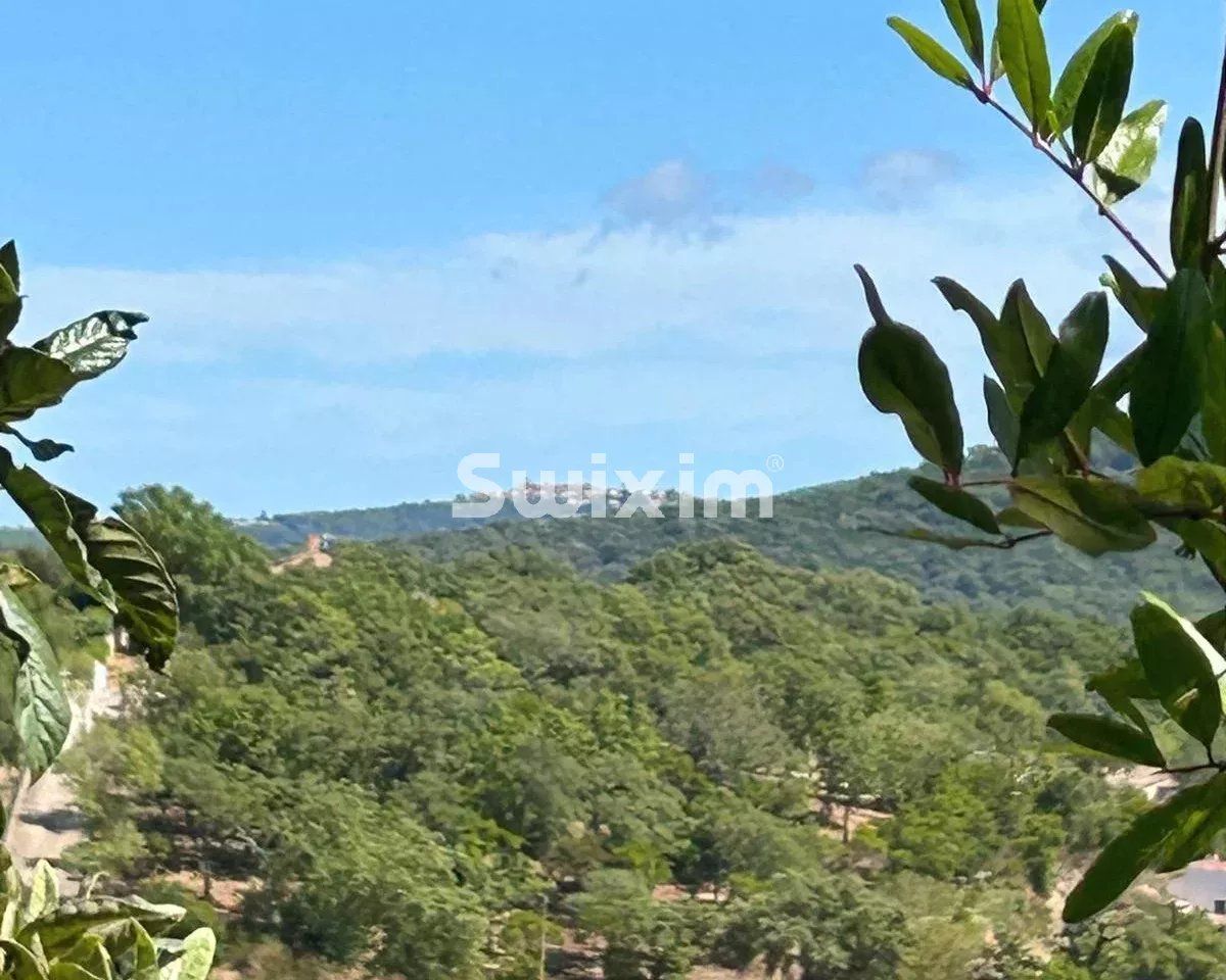 maison 8 Pièces en vente sur Cogolin (83310)