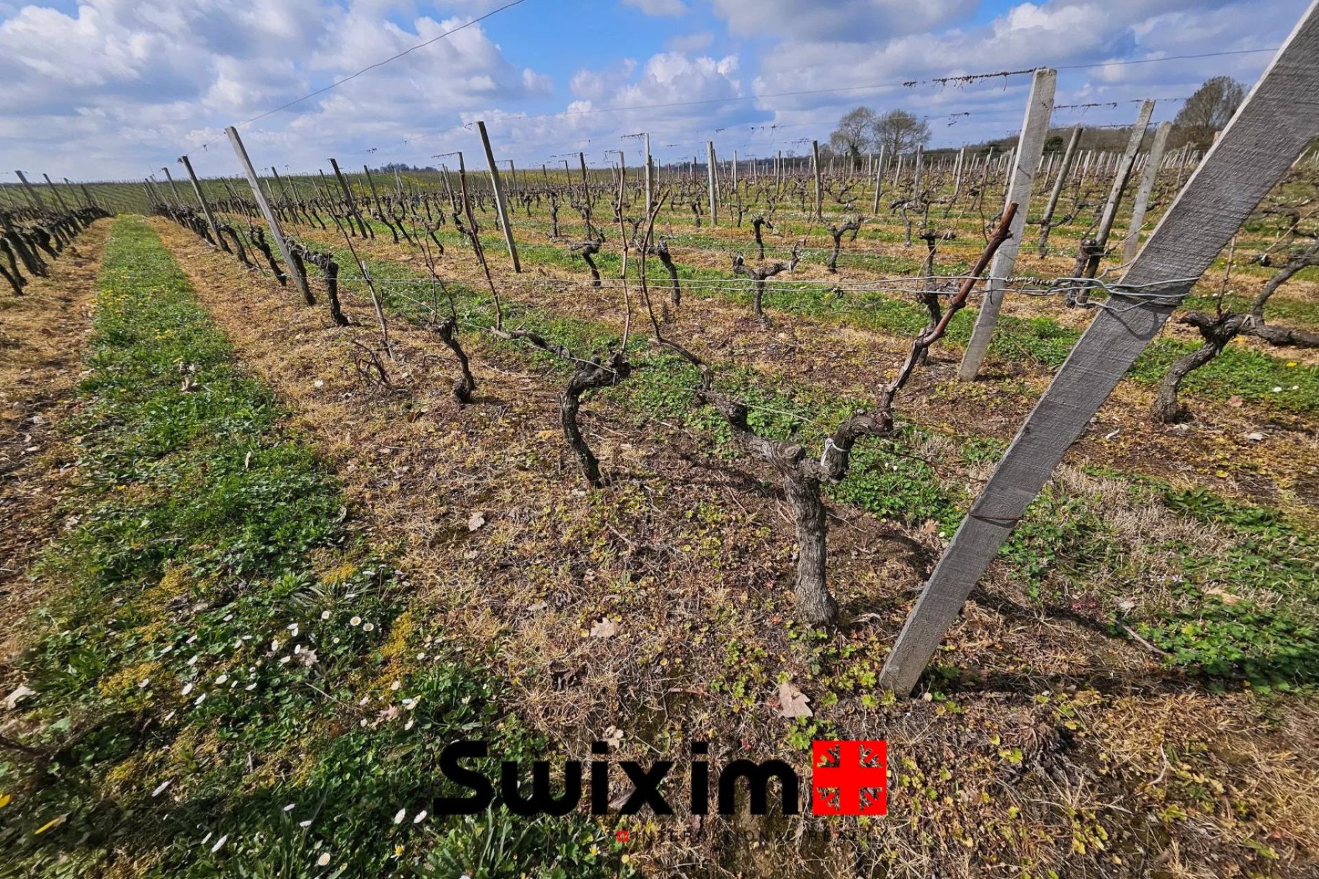 landwirtschaftsgebiet zum verkauf auf Ordonnac (33340)
