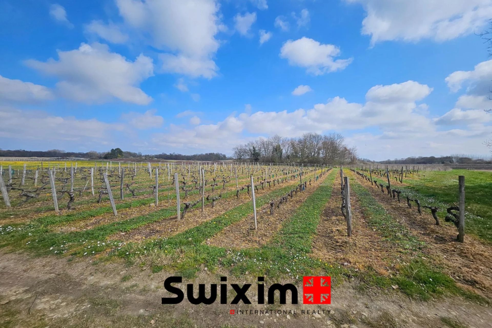 agricultural land for sale on Ordonnac (33340)