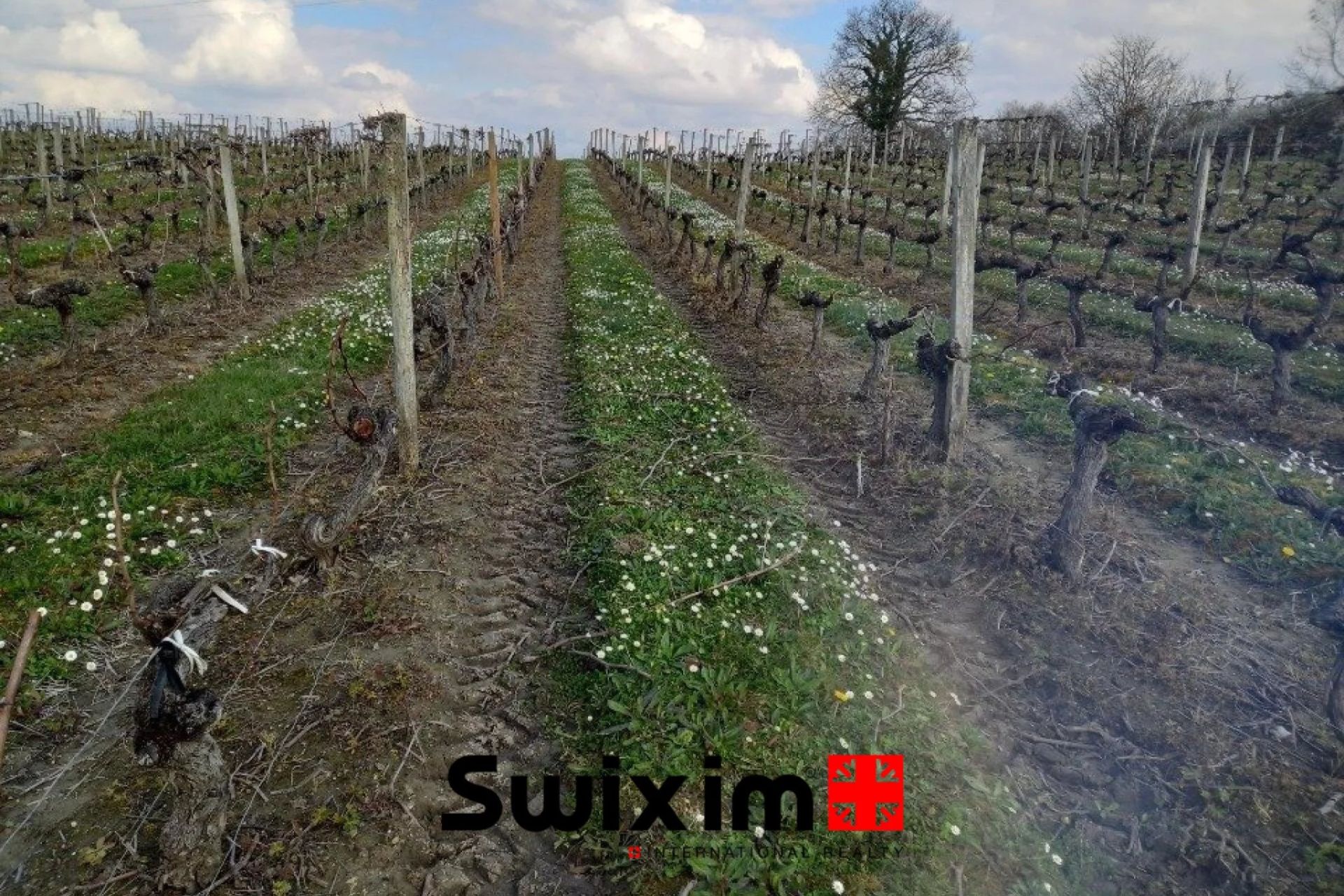 agricultural land for sale on Ordonnac (33340)