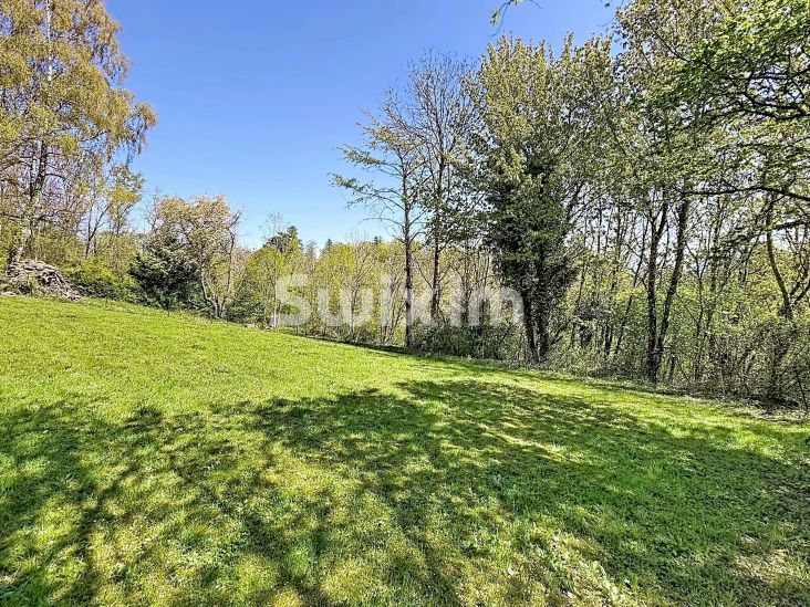 Venda Terreno Divonne-les-Bains 1&nbsp;sala