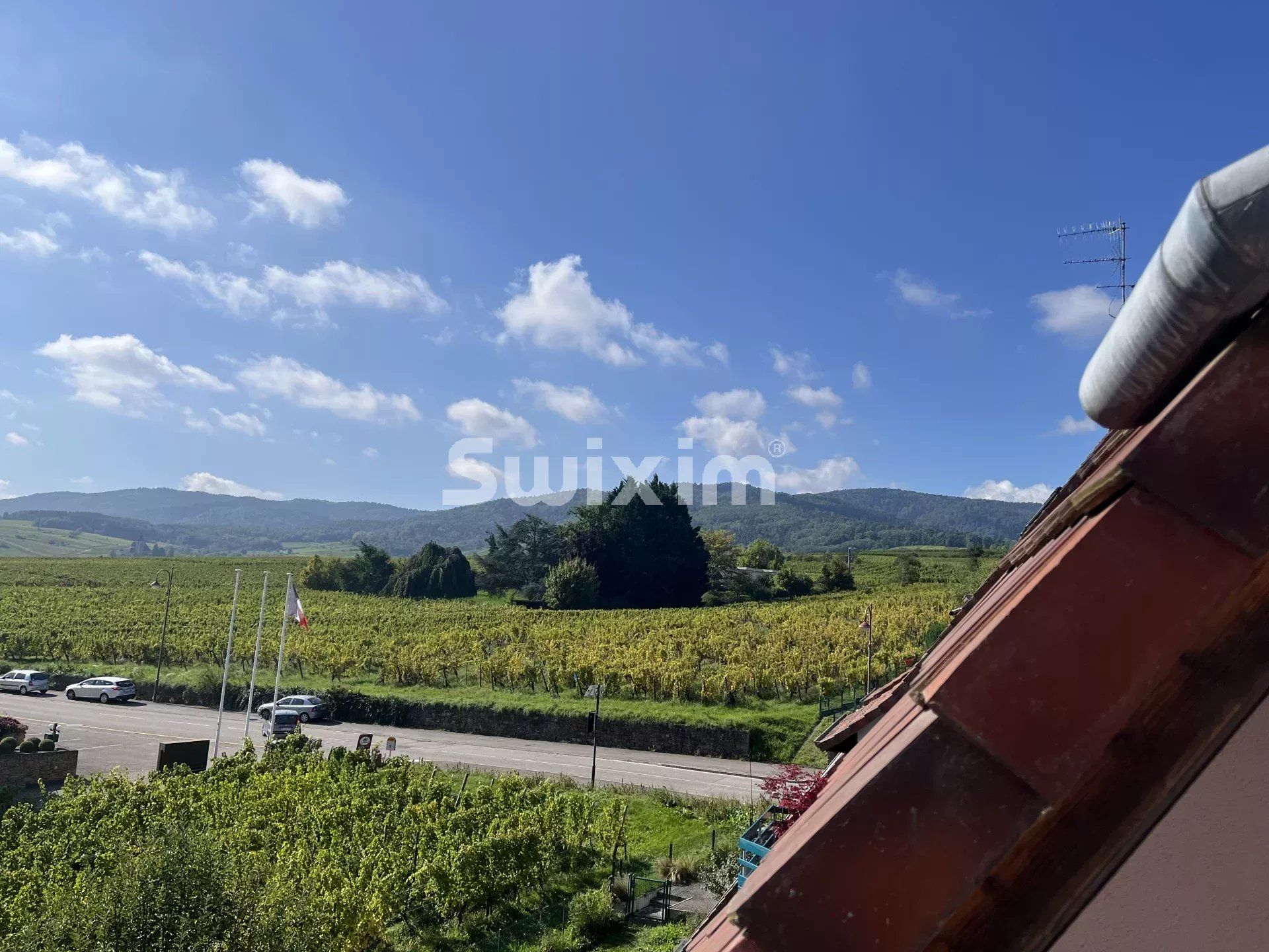 appartement 6 Pièces en vente sur Ribeauvillé (68150)