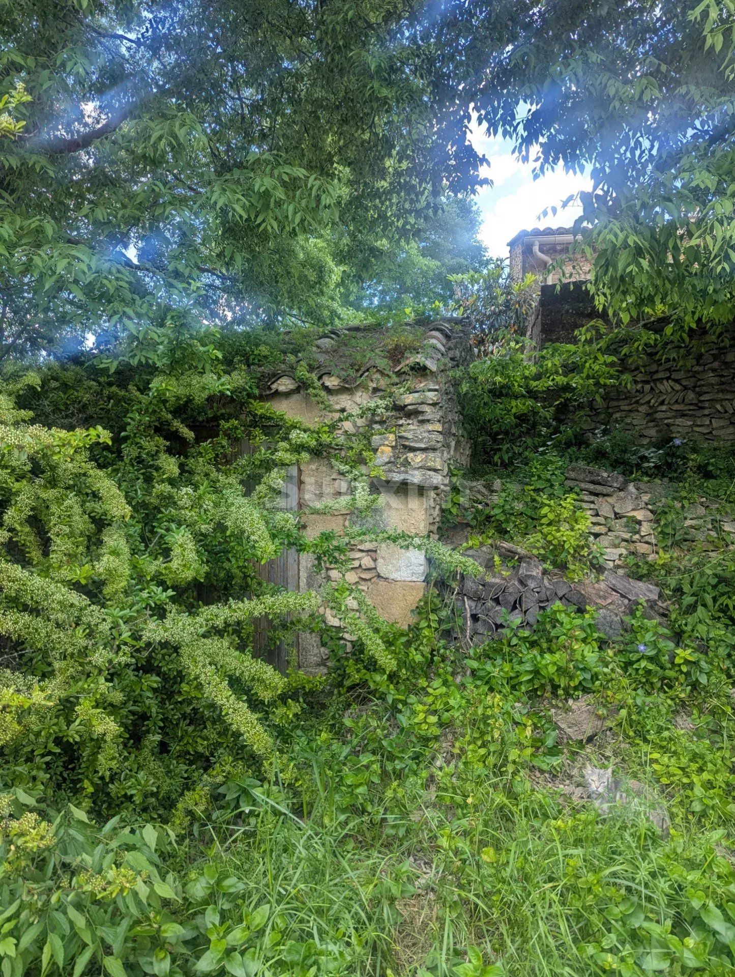 terrain en vente sur Saint-Maximin (30700)