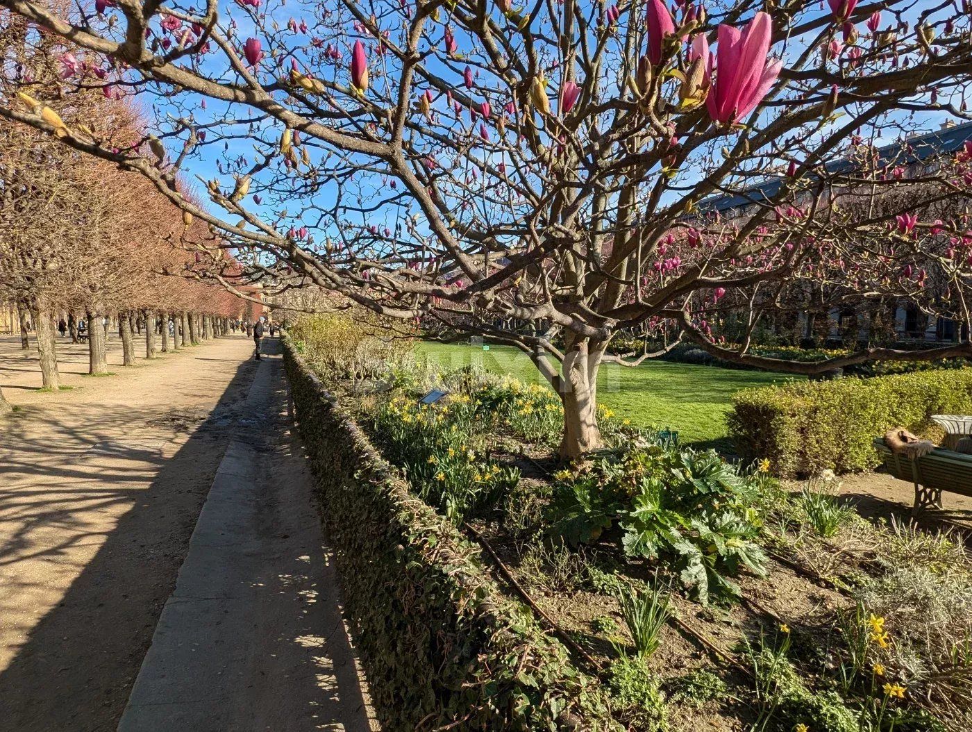 apartamento 3 Quartos para venda sobre Paris 1er (75001)