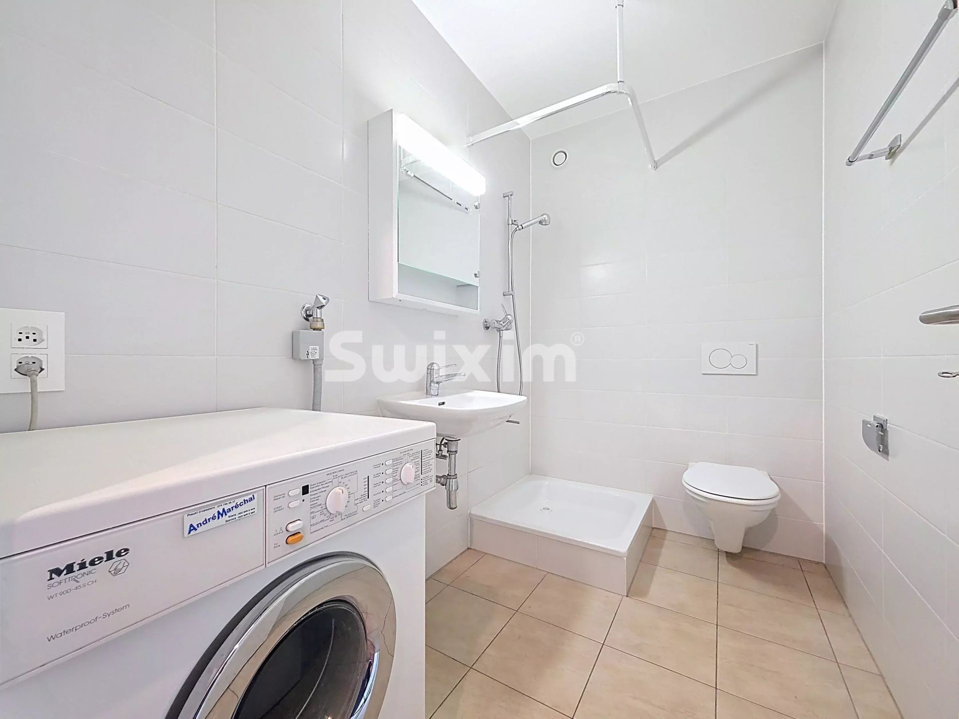 appartamento 4 Camere in affitto su Lancy (1213)