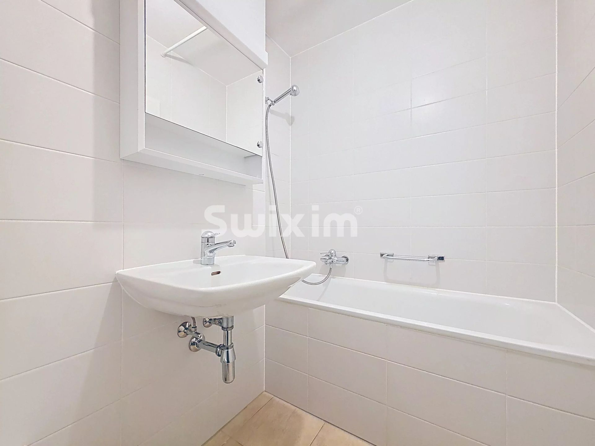 appartamento 4 Camere in affitto su Lancy (1213)