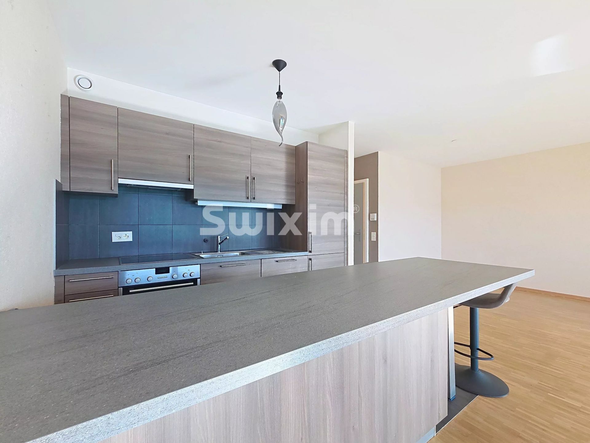 appartamento 4 Camere in affitto su Lancy (1213)