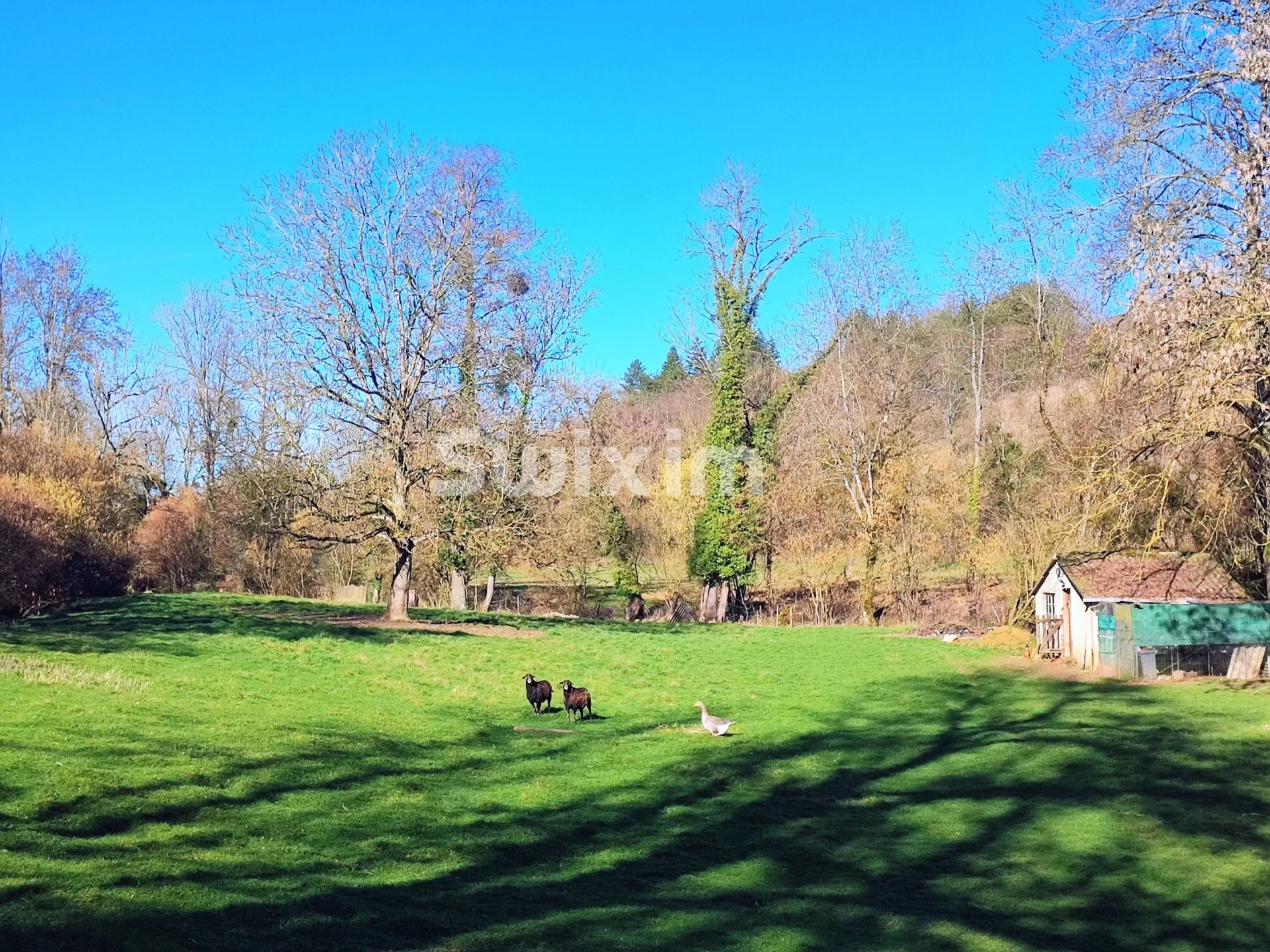 m&uuml;hle 6 Zimmer zum verkauf auf Beaune (21200)